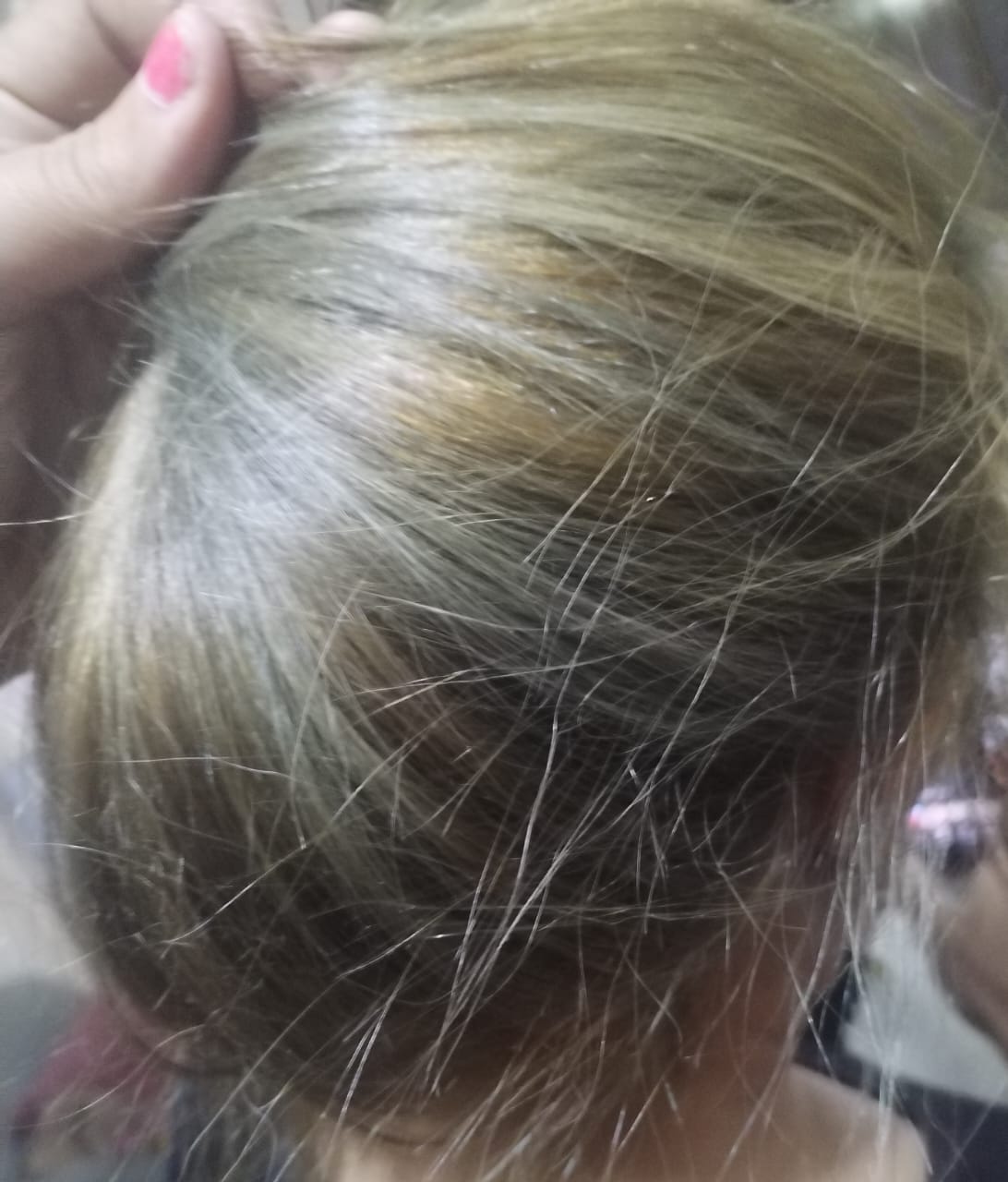 صورة الحلاق