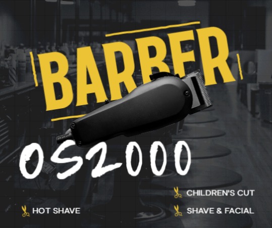 صورة الصالون